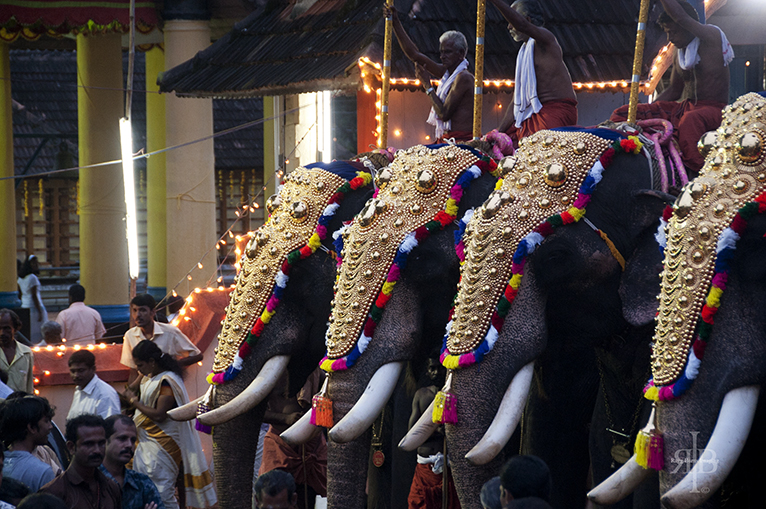 India-Onam-elephants-in-line-onam-celebration-2015-Importance, Significance, wallpapers