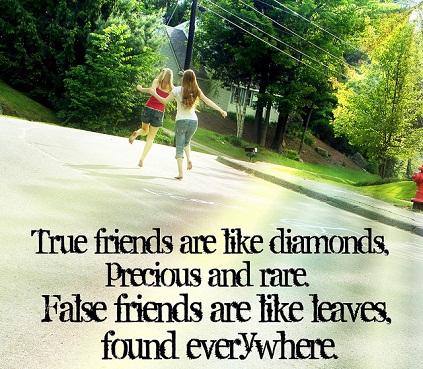 Best Famous Friendship Quotes with Images for best friends-5