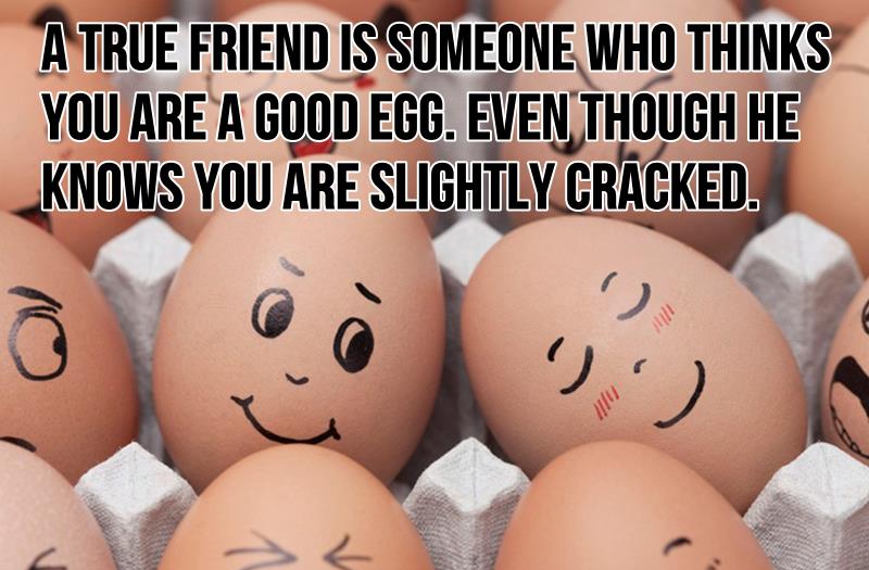 friendship-quotes-best