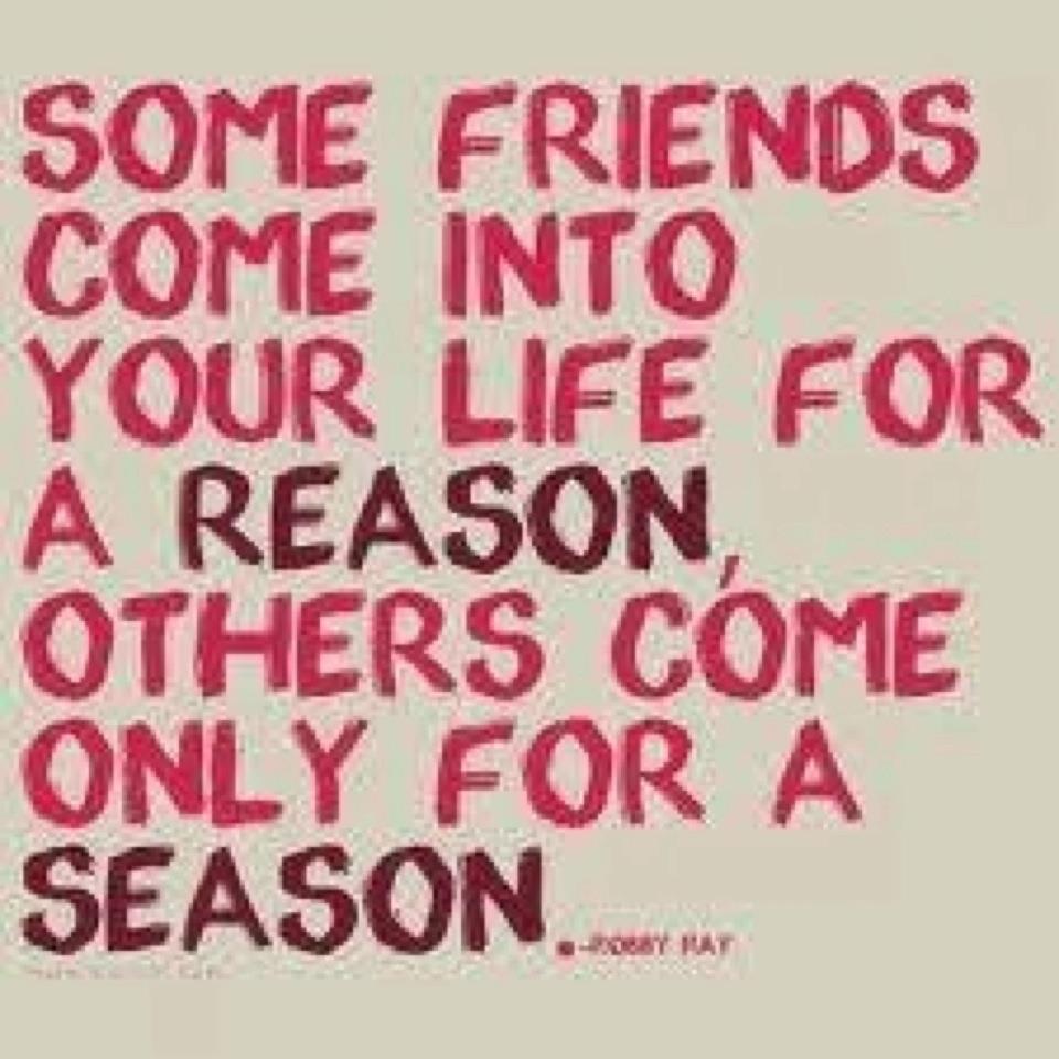 some friends come into your life for a reason others come only for a season friendship quote