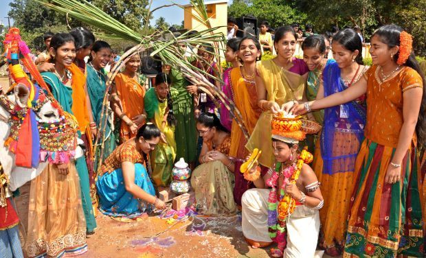 Family-Festival-Makar-Sankranti-ANDHRA PRADESH