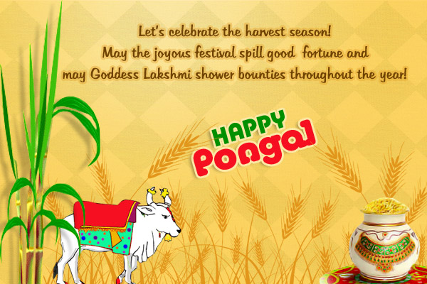 Pongal Photos Archives - Happy Wala Gift