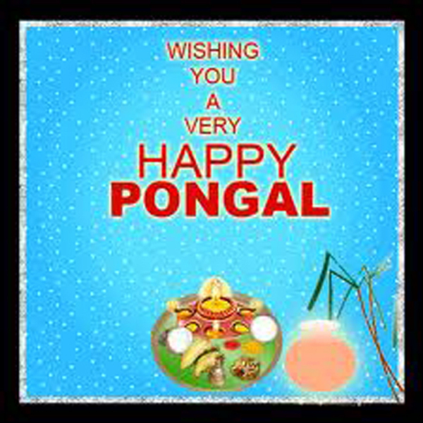 Happy-Pongal-Celebration-Wallpapers-05