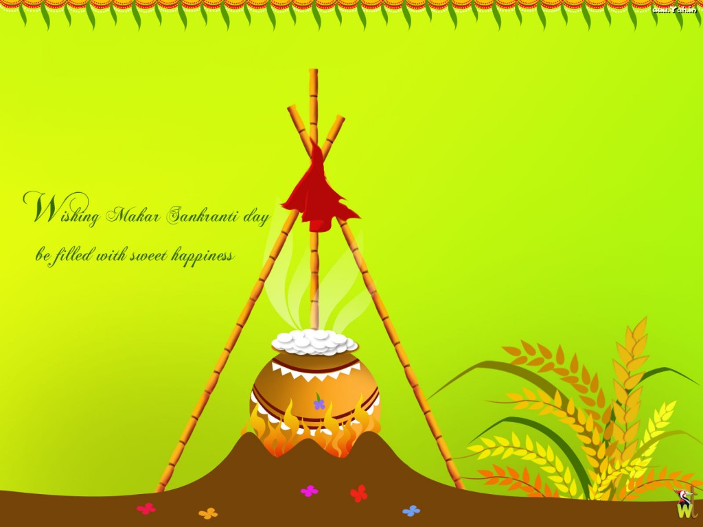 Happy-Pongal-Celebration-Wallpapers-08