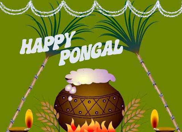 Happy-Pongal-Celebration-Wallpapers-images