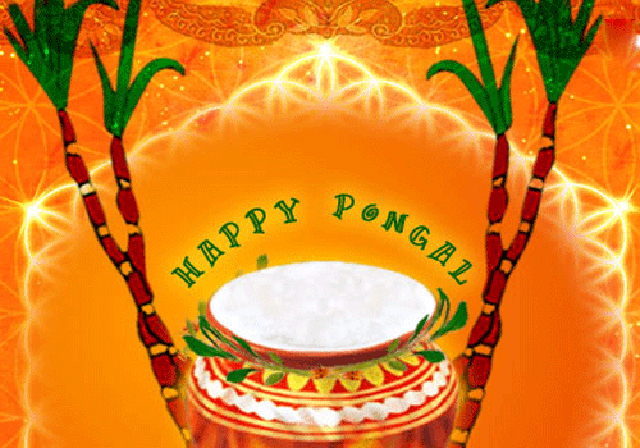 Happy-Pongal-Celebration-Wallpapers-photo