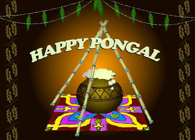 Happy-Pongal-Celebration-Wallpapers