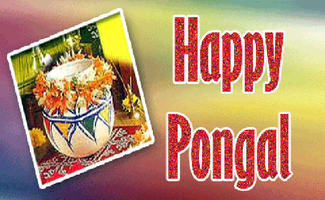 Happy-Pongal-Celebration-hd-Wallpapers