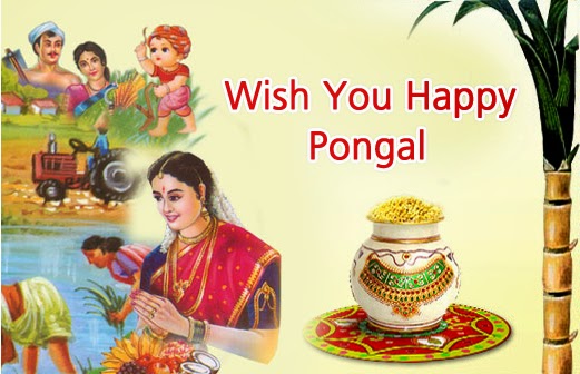 Happy Pongal Festival Greetings wallpapers-2016
