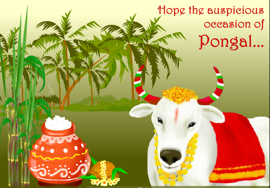 Happy Pongal Festival Greetings wallpapers-2016