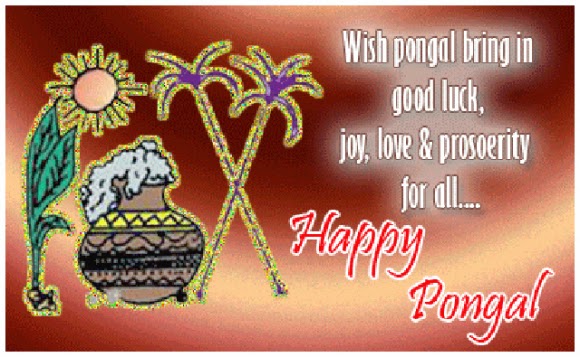 Happy Pongal Festival Greetings wallpapers (3)