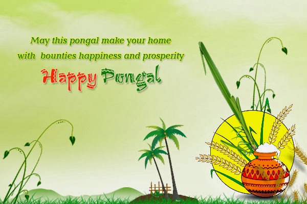 Happy Pongal Festval wishes with Quotes wallpapers