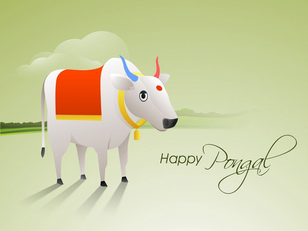 Happy Pongal Images And Wallpapers-2016