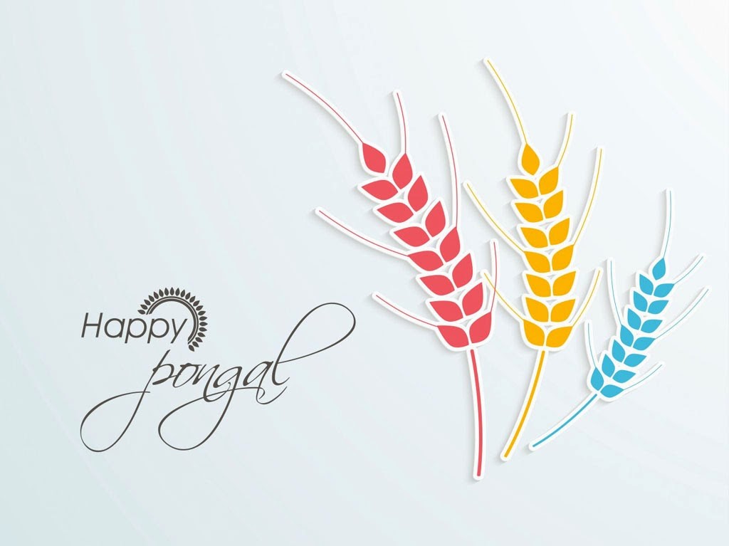 Happy Pongal Images And Wallpapers 2016