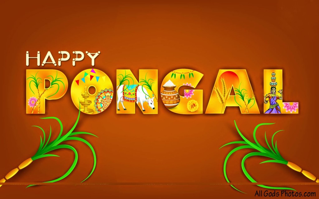 Happy Pongal Wallpaper 2016