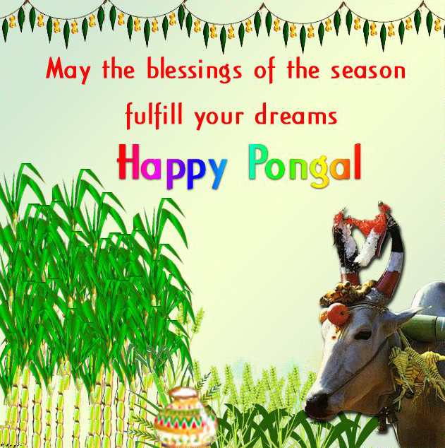 Happy Pongal wishes with quotes photos