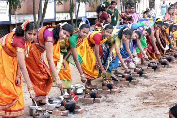 Pongal Celebrations India 2016