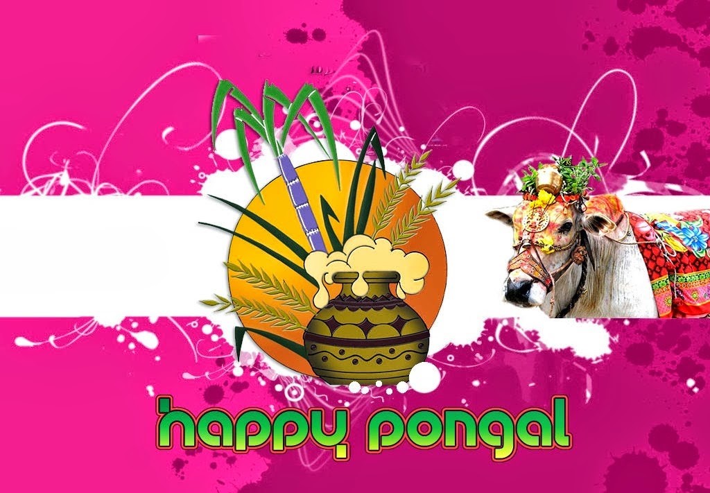 Pongal wishes in Different Languages hd wallpapers (2)