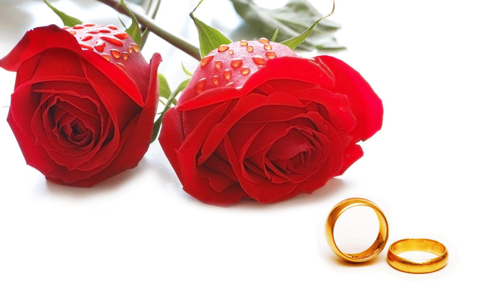 happy-rose-day-with-ring-hd-wallpaper