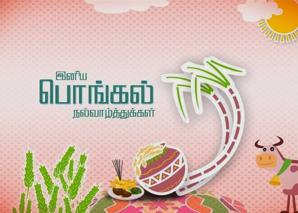 pongal-2016