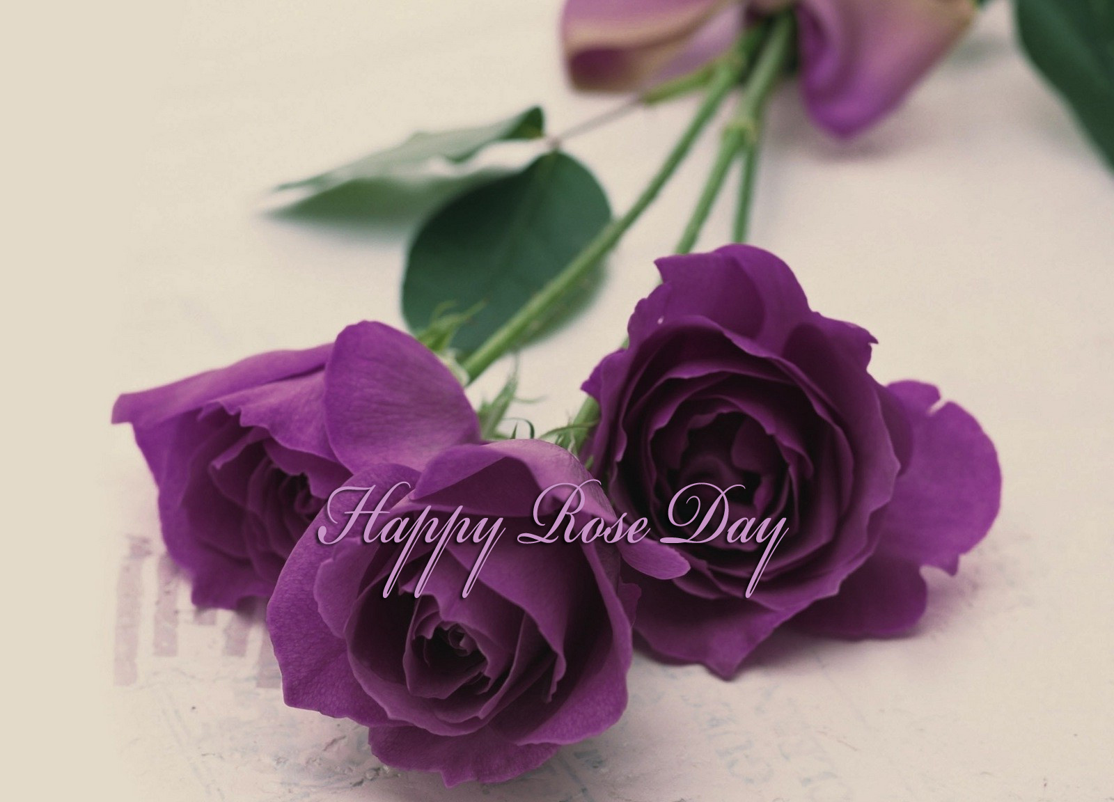 rose-day-gift-for-girlfriend-wallpaper