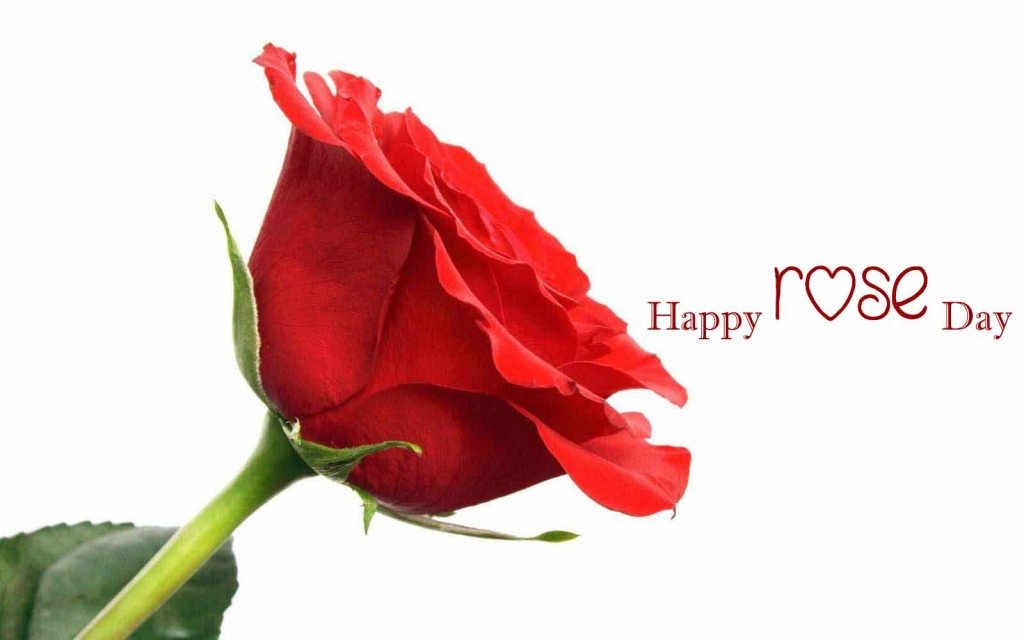 Red-rose-day-2016-wallpapers