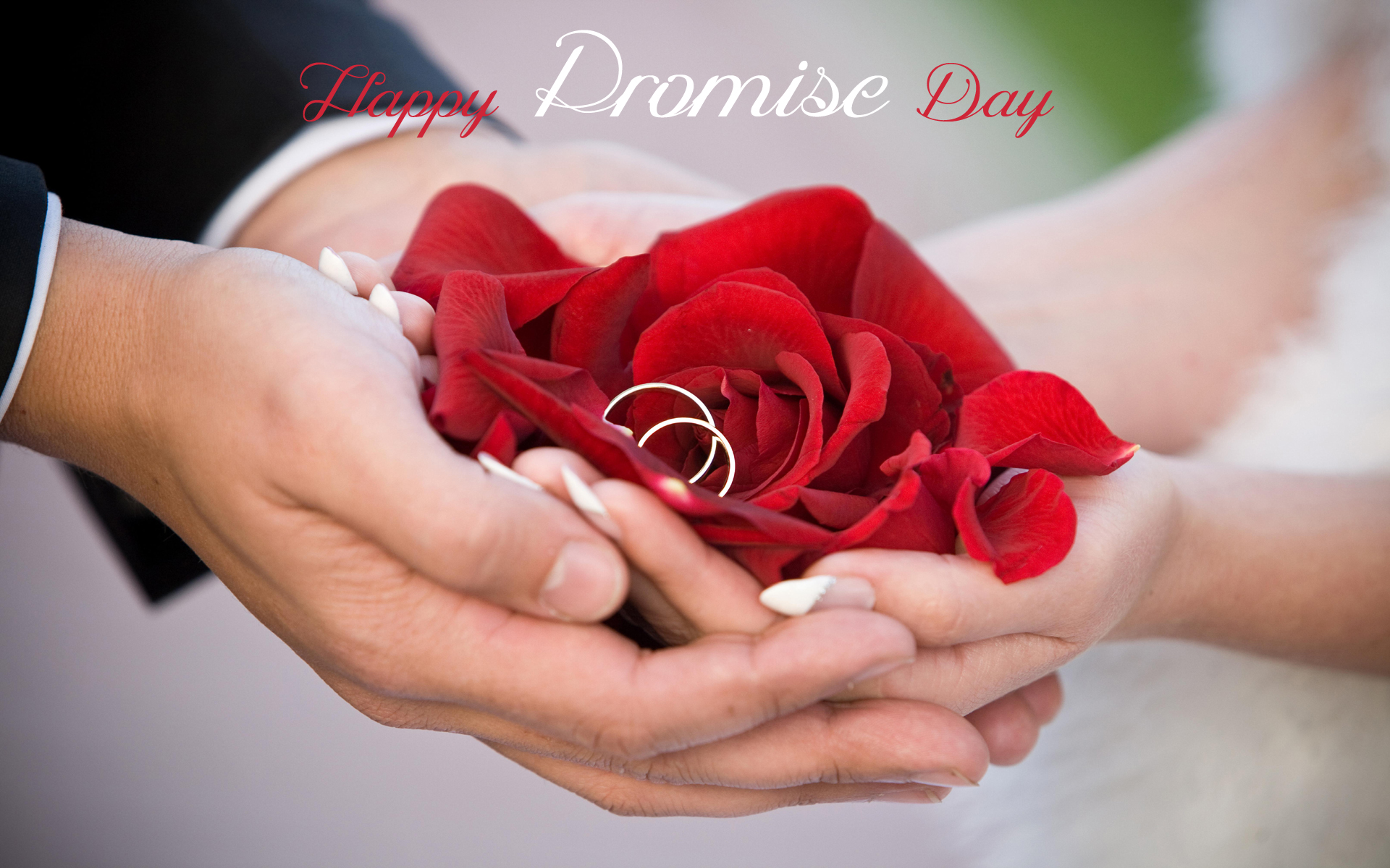 Happy Promise Day - Gifts & Best HD Wallpapers for Promise Day