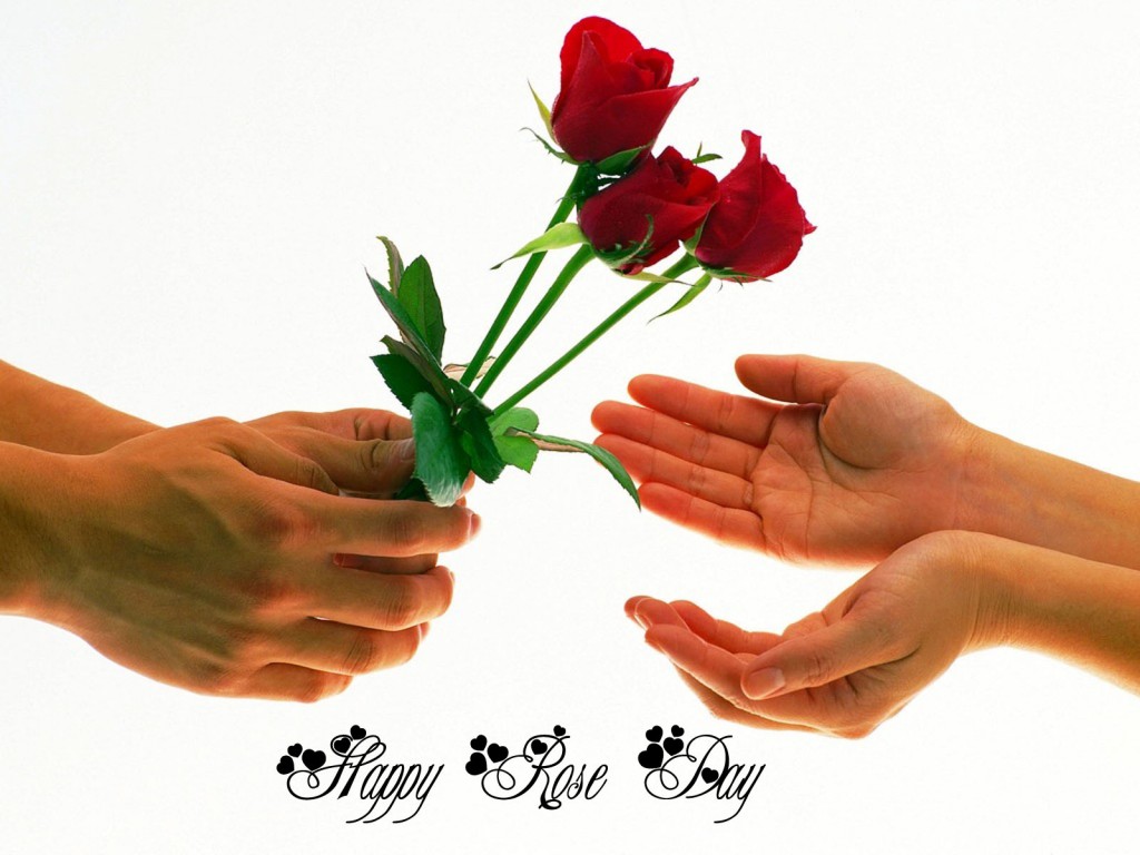 Happy-Rose-Day-Wallpapers-HD-i-love-you