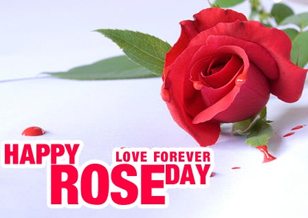 Happy-Rose-day-Images-Wallpapers-Pictures-2016