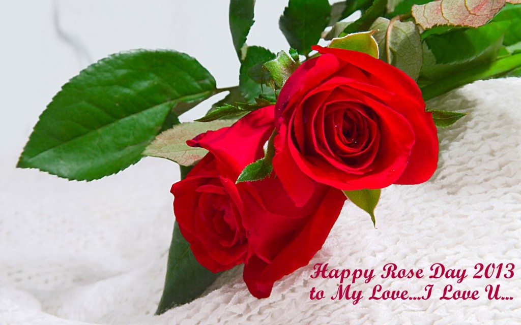 Red-rose-day-happy-wallpapers