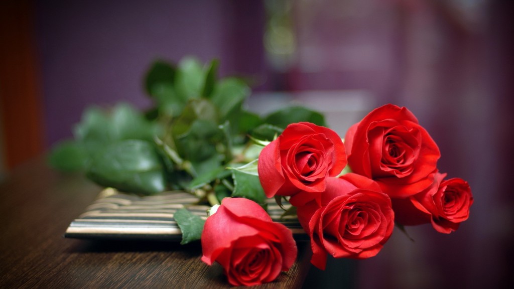 Rose Day-7th-February-2016_Wallpaper