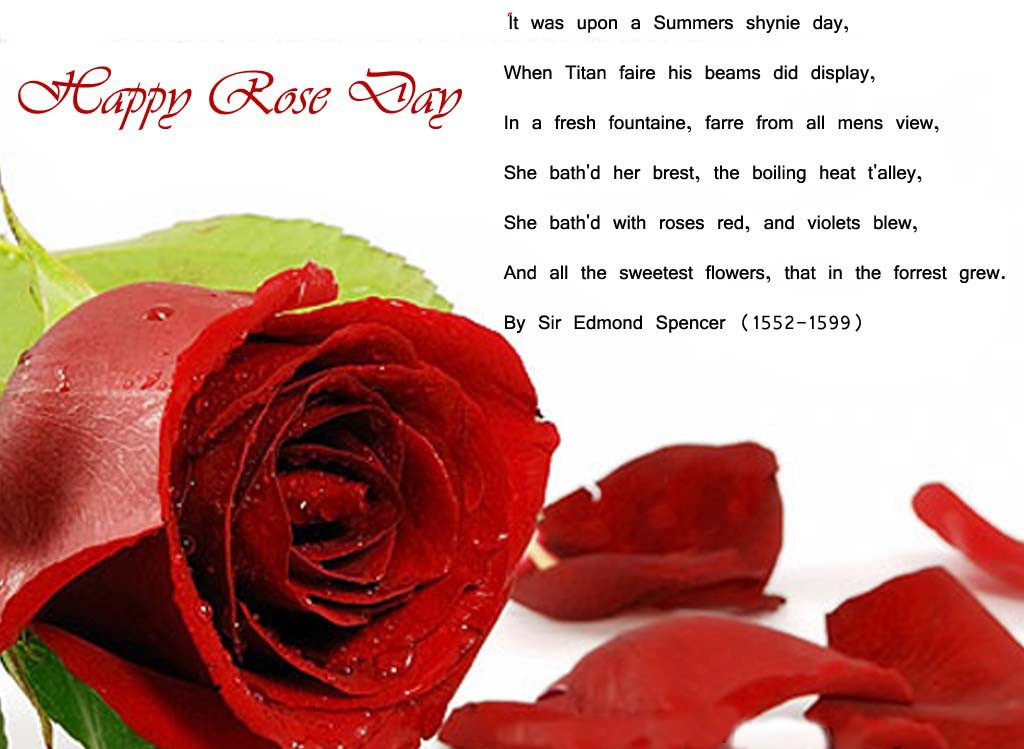 Rose-Day-Wallpaper-love-and romantic