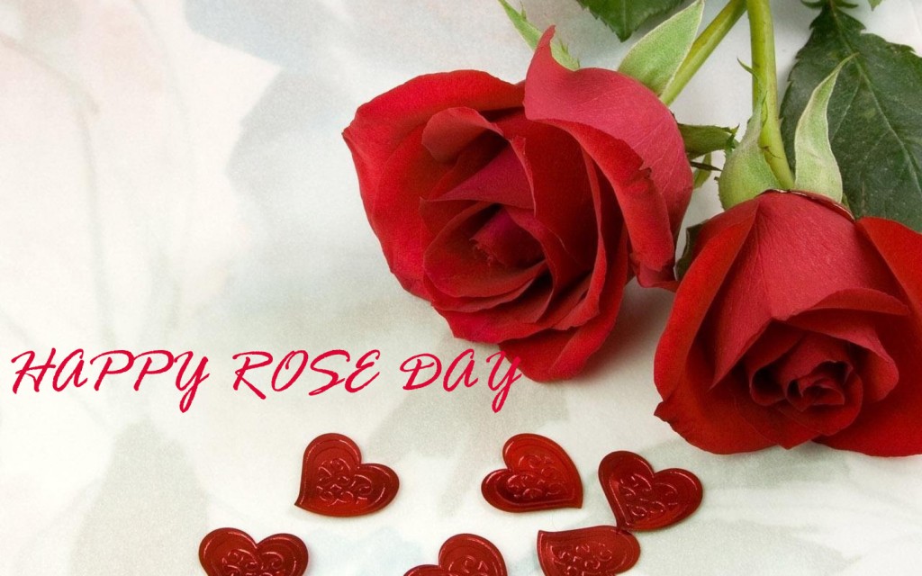 Rose Day Wishes, SMS, Status, Quotes Messages