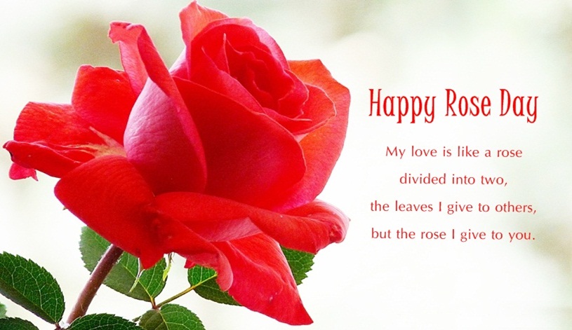 Special-Happy-Rose-Day-2016-Quotes-Wishes-Sms
