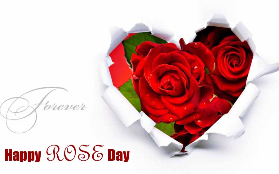 Wallpapers-Happy-Rose-Day-images