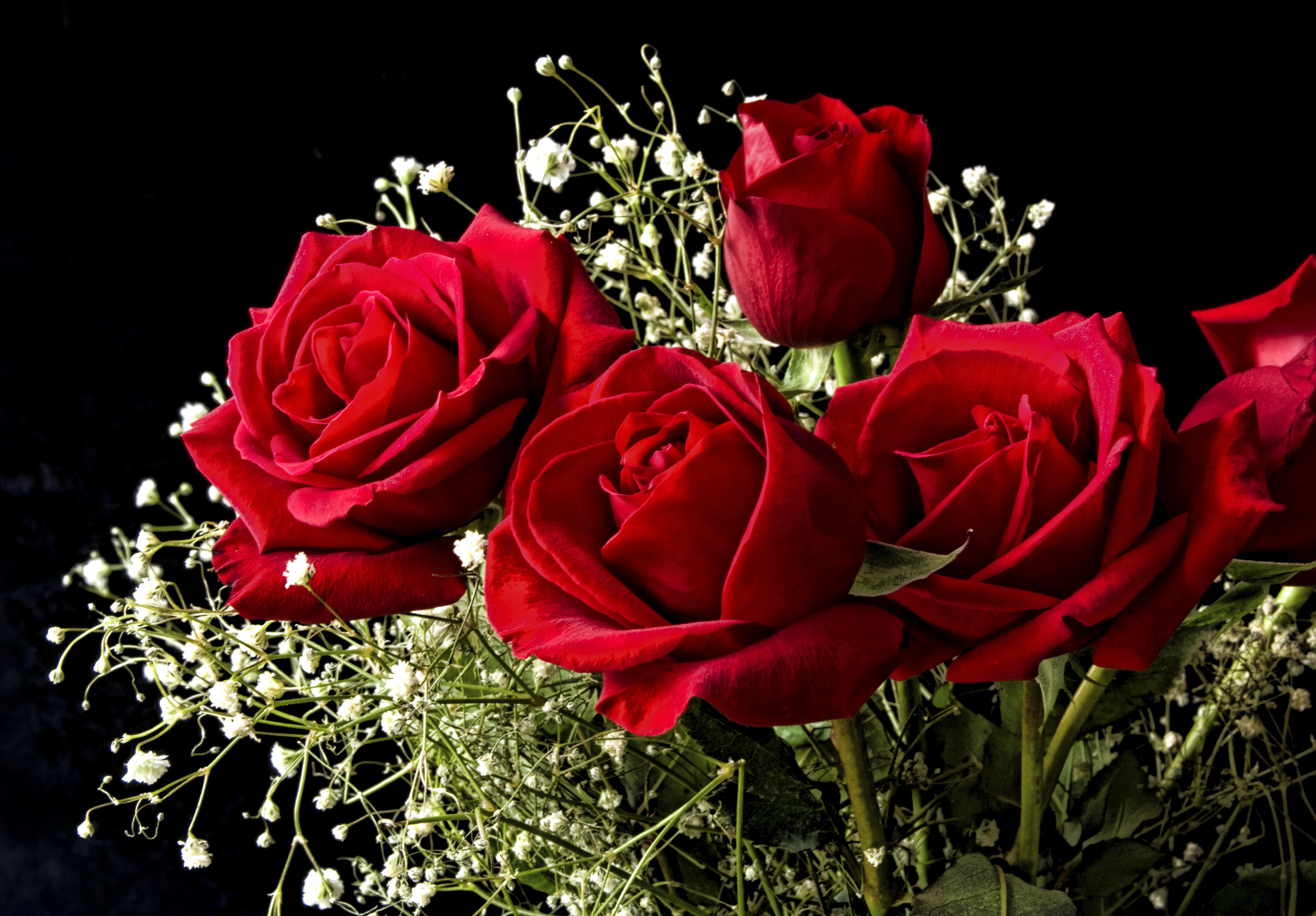 bouquet_of_roses