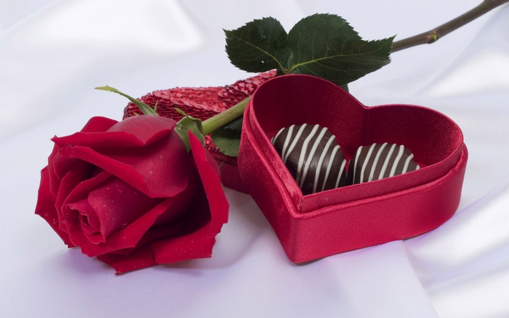 red-rose-and-chocolate-flower-flowers