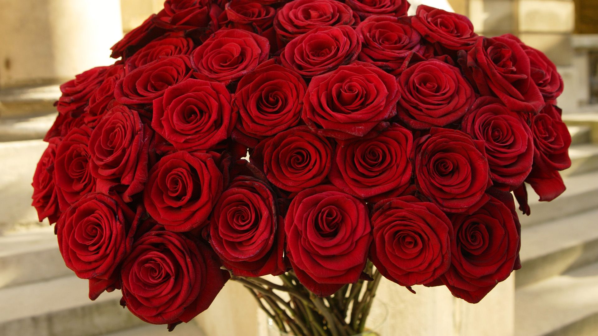 valentines-day-red-rose-bouquet-hd-desktop-wallpaper-widescreen-backgrounds-for-mobile-tablet-and-pc-free-images-download-1920x1080