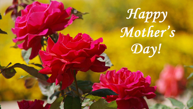 Happy-Mother-Day-Rose-Flowers