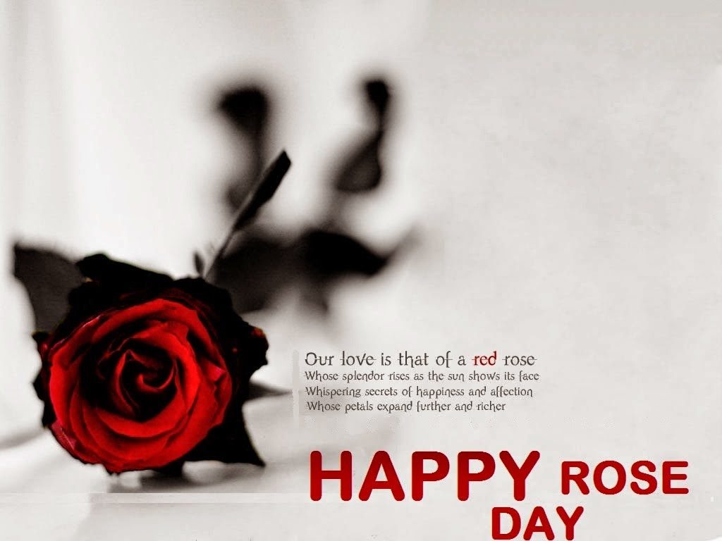 Happy-Rose-Day-Latest-HD-Pics-i-love-you