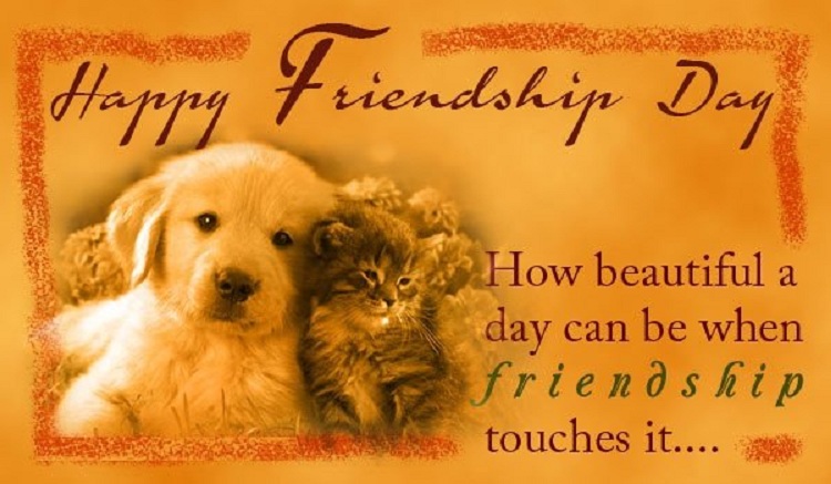 Friendship Day Cards and Friendship Day Wishes Cards
