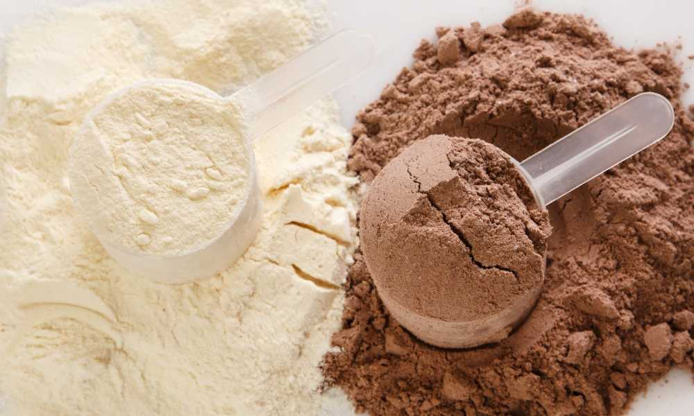 Mass Gainer Protein Powder for Everyone