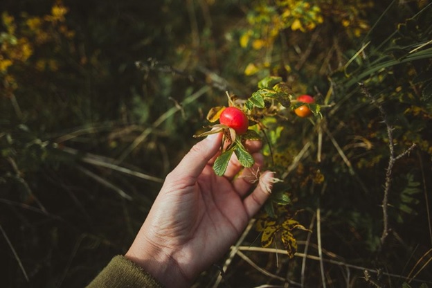 Organic Supplements That Help Fight Wrinkles